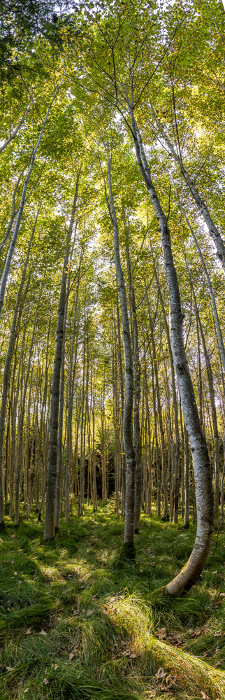 Platz 8 Conny Kleiner